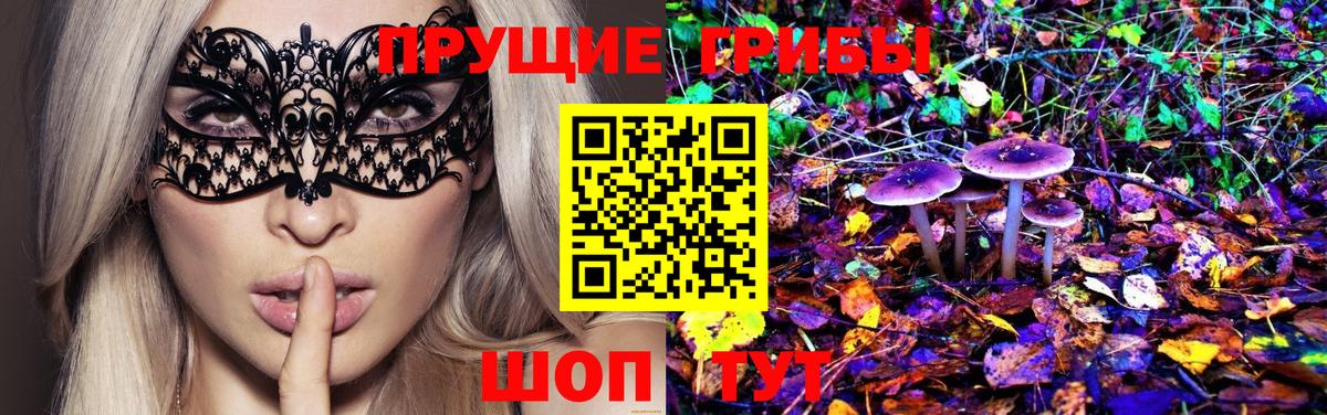 цена наркотик  Вход с VPN  Камышин  Псилоцибиновые грибы Psilocybine cubensis 